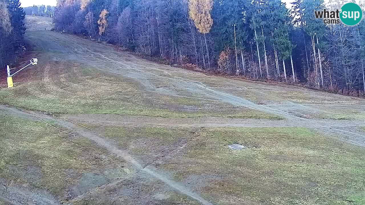 Web Camera Pohorje Trikotna Jasa | Poštela