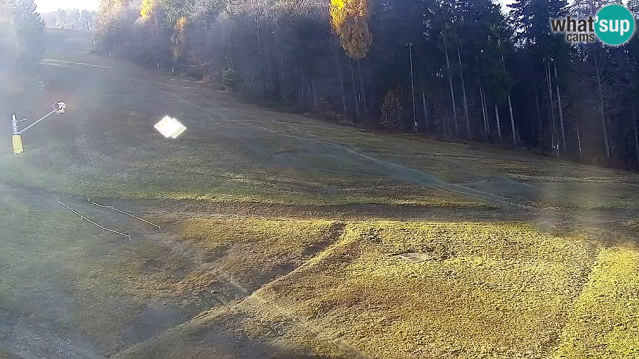 Web kamera Pohorje Trikotna Jasa | Poštela