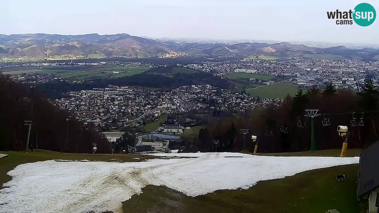 Web Camera Pohorje Trikotna Jasa | Poštela