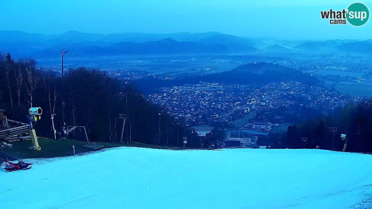 Webcam Pohorje Trikotna Jasa | Poštela