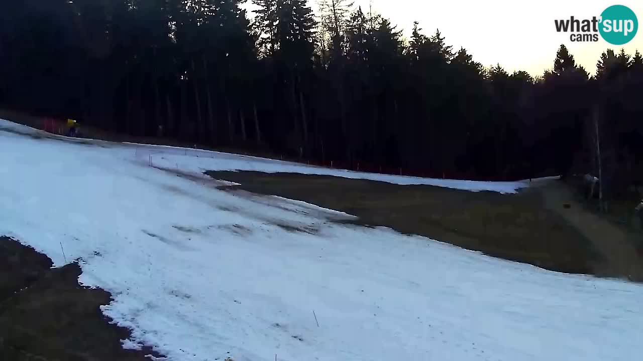 Webcam Pohorje Trikotna Jasa | Poštela