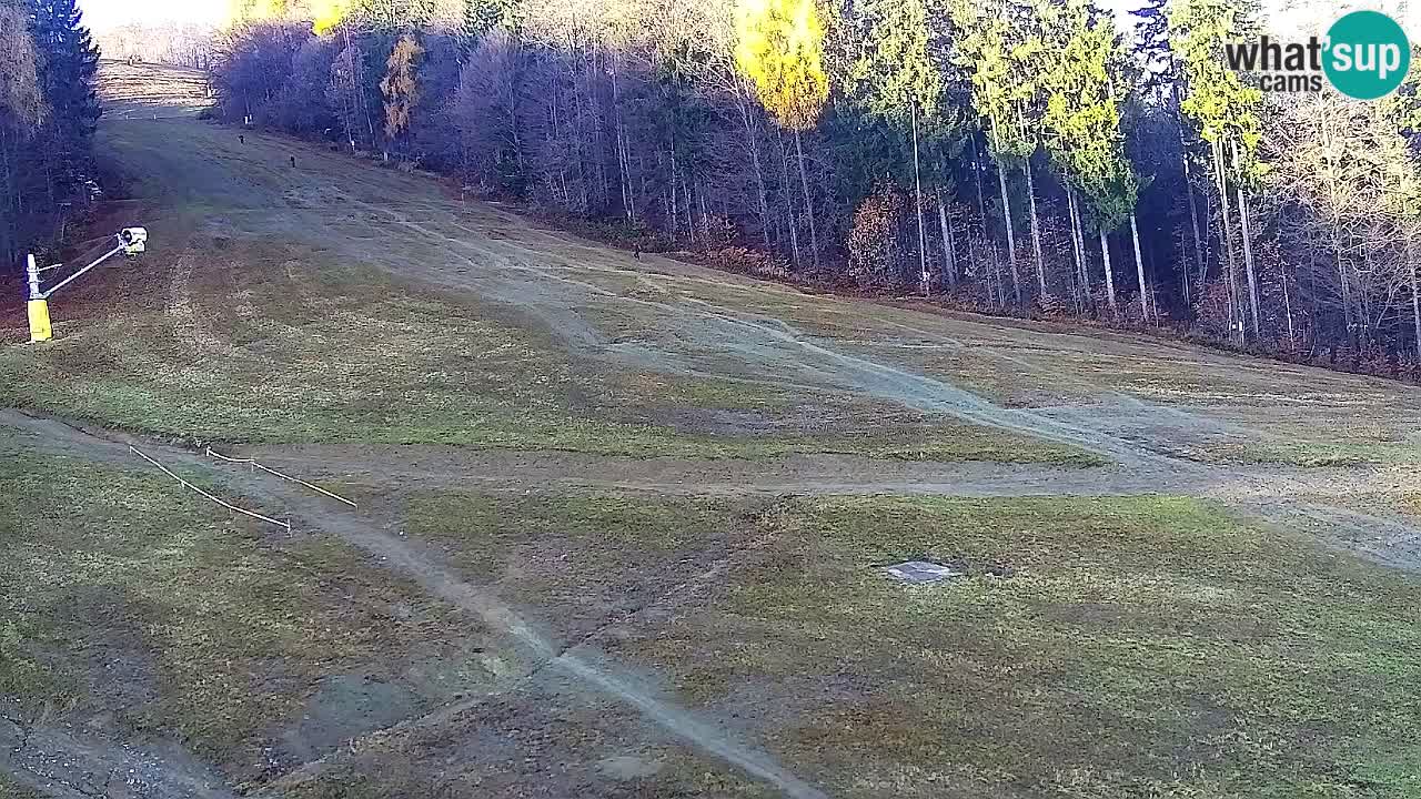 Spletna Kamera Pohorje Trikotna Jasa | Poštela