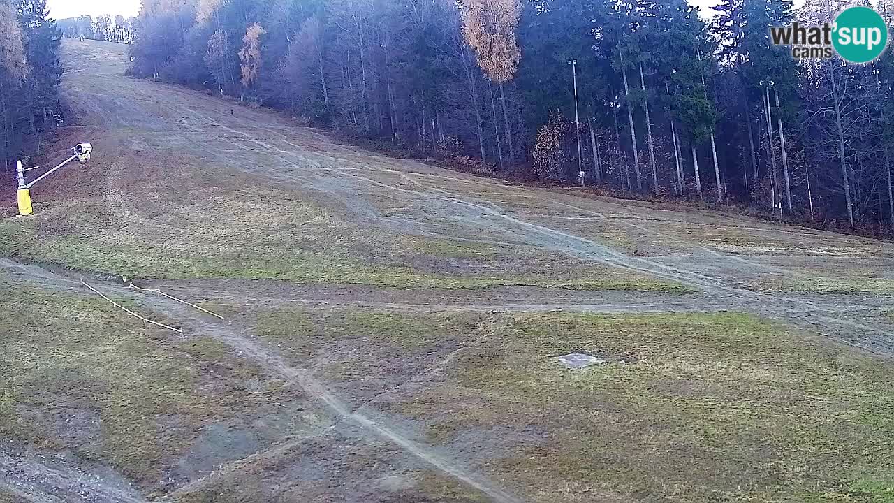 Webcam Pohorje Trikotna Jasa | Poštela