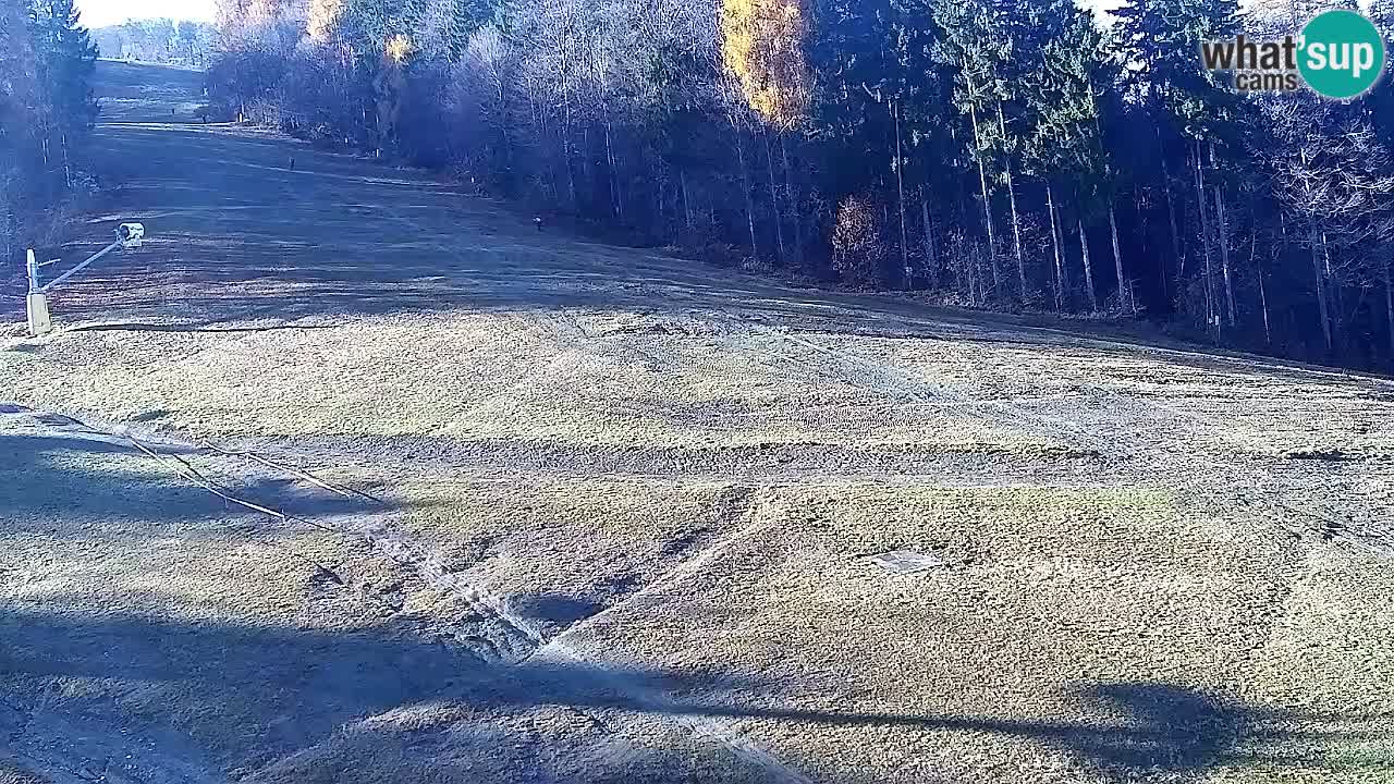 Web Camera Pohorje Trikotna Jasa | Poštela