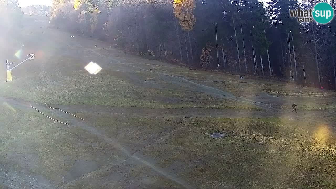 Webcam Pohorje Trikotna Jasa | Poštela