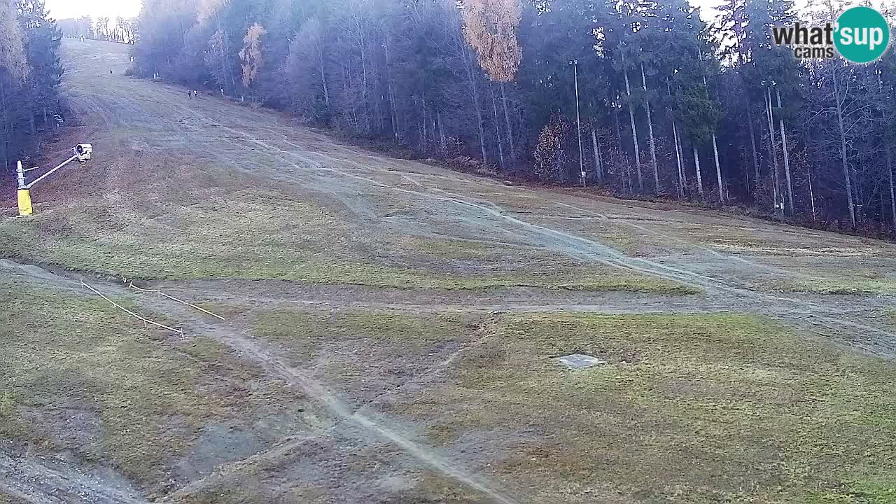 Webcam Pohorje Trikotna Jasa | Poštela