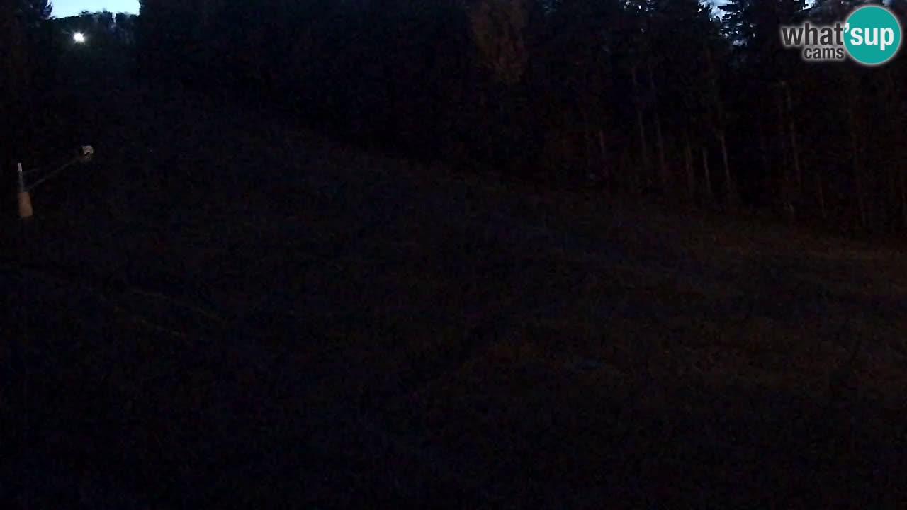 Webcam Pohorje Trikotna Jasa | Poštela