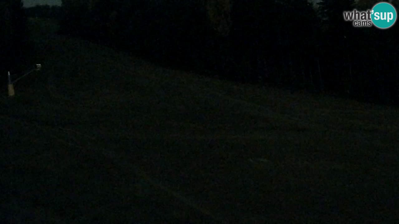 Webcam Pohorje Trikotna Jasa | Poštela