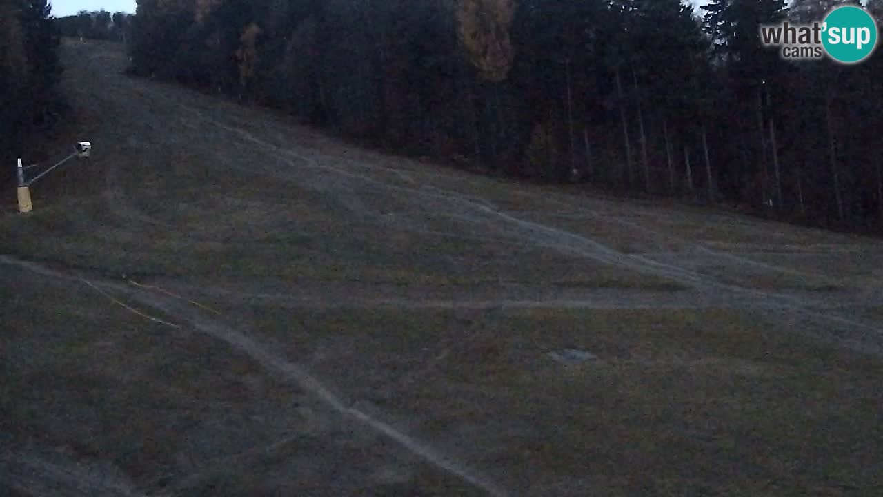 Webcam Pohorje Trikotna Jasa | Poštela