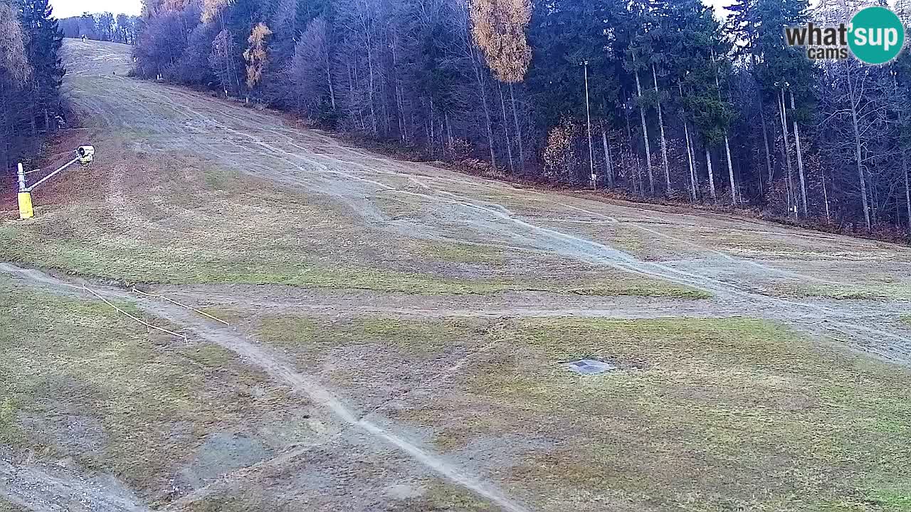 Webcam Pohorje Trikotna Jasa | Poštela