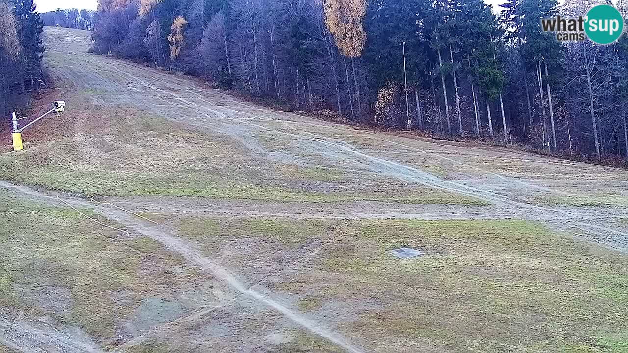 Webcam Pohorje Trikotna Jasa | Poštela