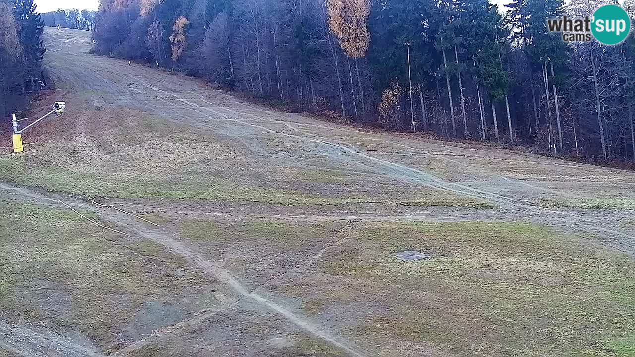Webcam Pohorje Trikotna Jasa | Poštela