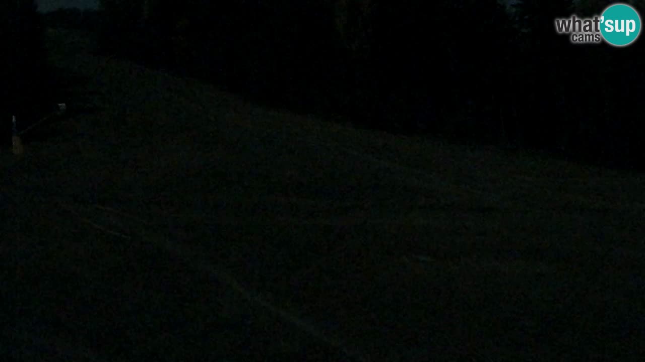 Webcam Pohorje Trikotna Jasa | Poštela