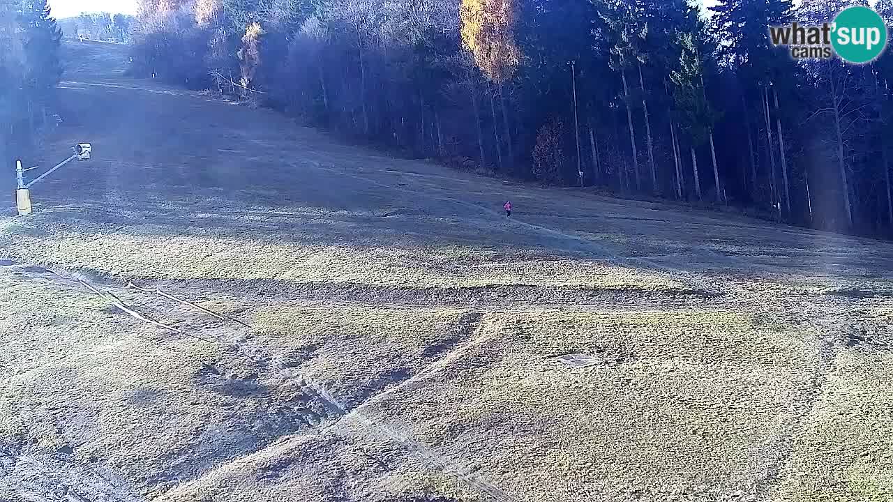 Web Camera Pohorje Trikotna Jasa | Poštela