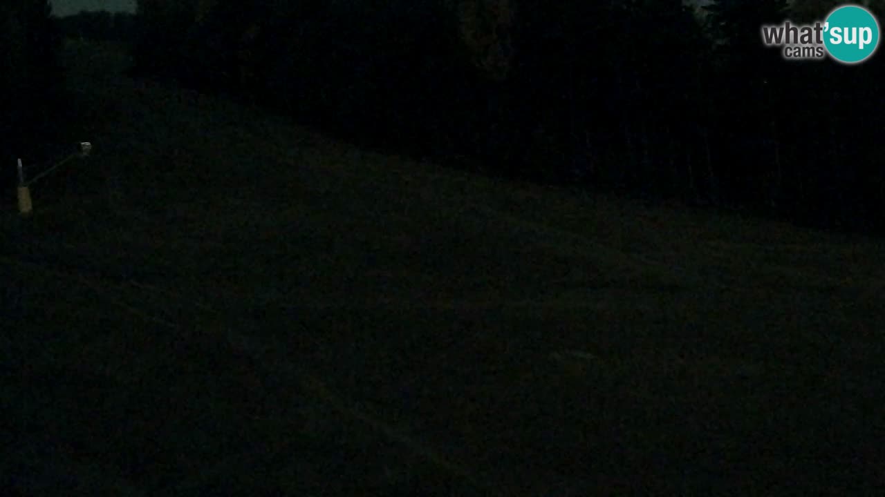 Web Camera Pohorje Trikotna Jasa | Poštela