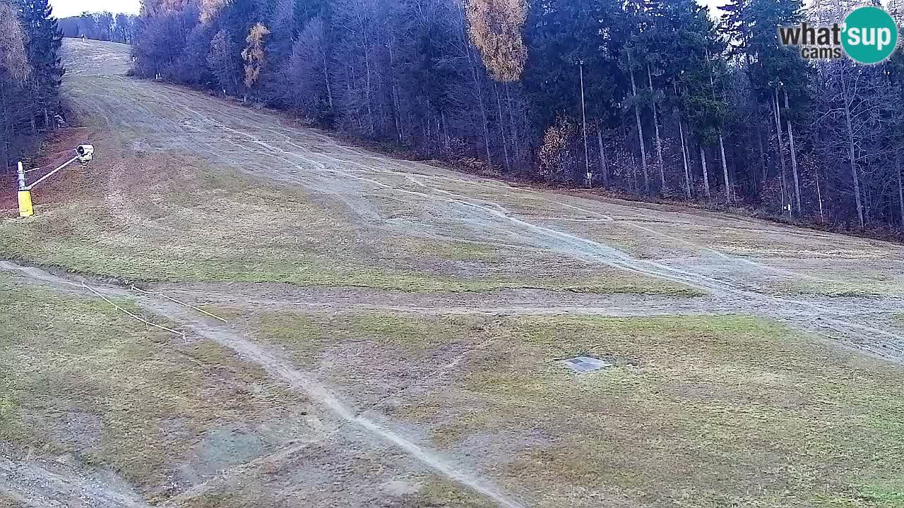 Webcam Pohorje Trikotna Jasa | Poštela