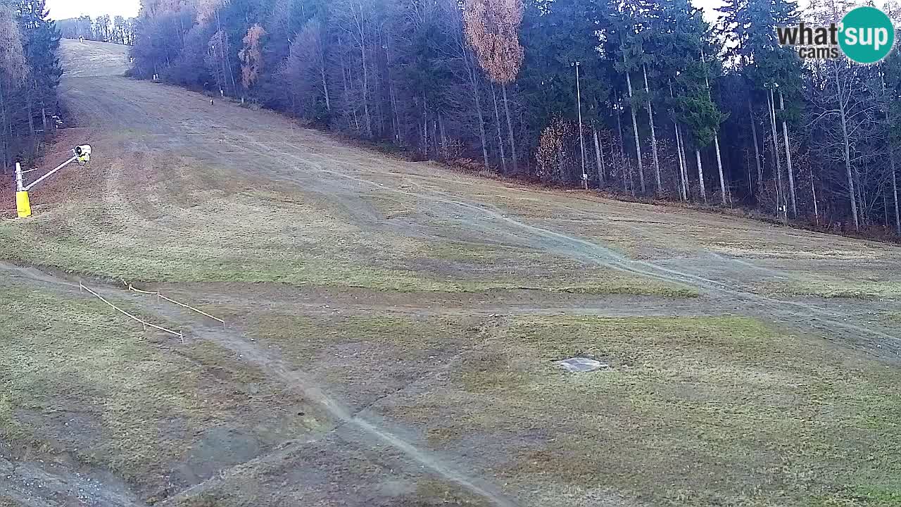 Webcam Pohorje Trikotna Jasa | Poštela