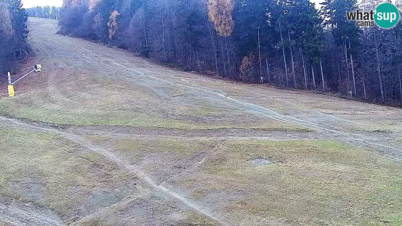 Web Camera Pohorje Trikotna Jasa | Poštela