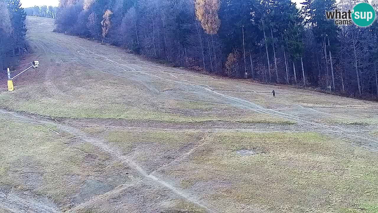 Web kamera Pohorje Trikotna Jasa | Poštela