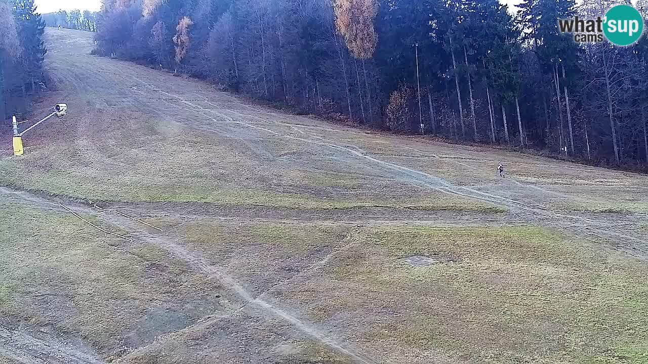 Webcam Pohorje Trikotna Jasa | Poštela