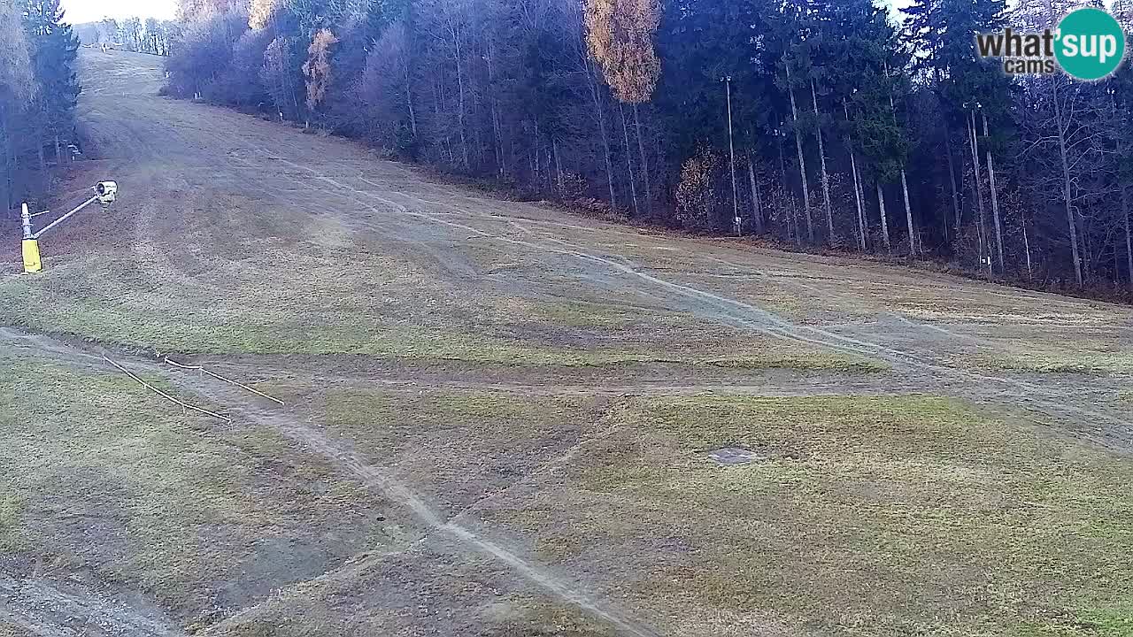 Webcam Pohorje Trikotna Jasa | Poštela