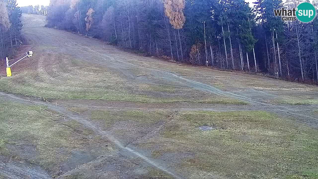 Webcam Pohorje Trikotna Jasa | Poštela
