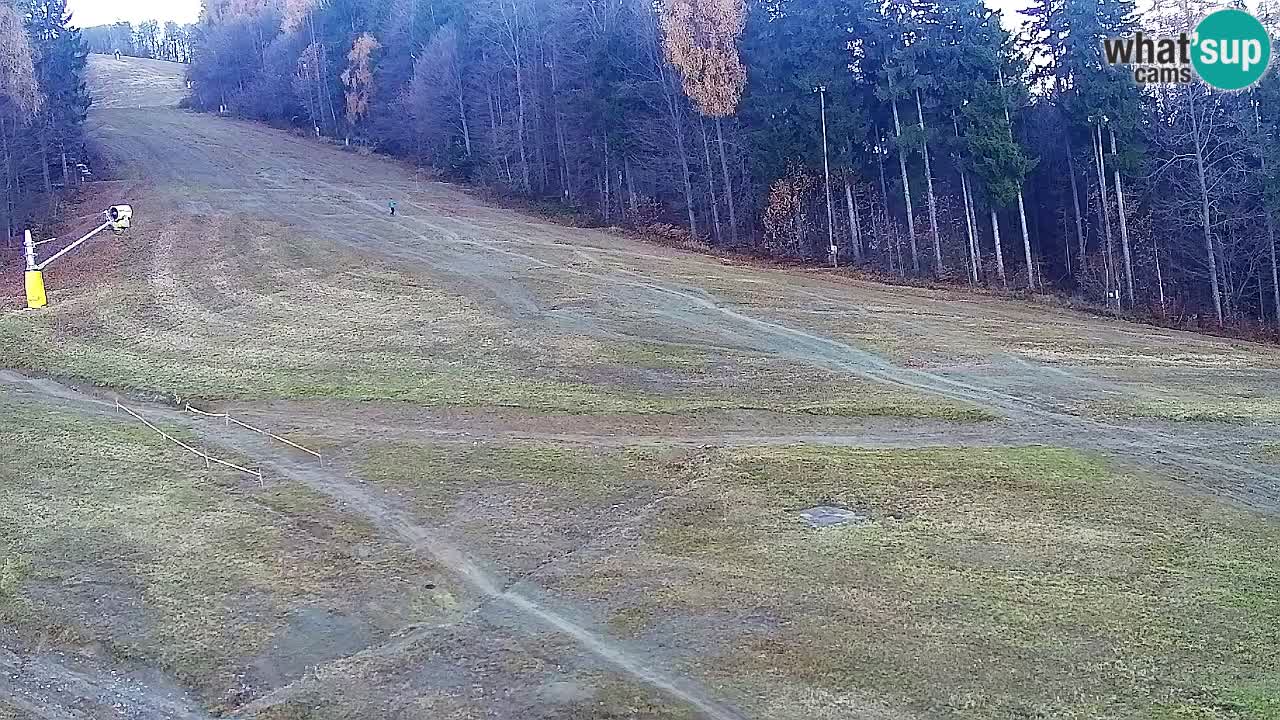 Webcam Pohorje Trikotna Jasa | Poštela