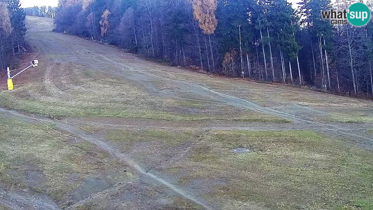 Web Camera Pohorje Trikotna Jasa | Poštela