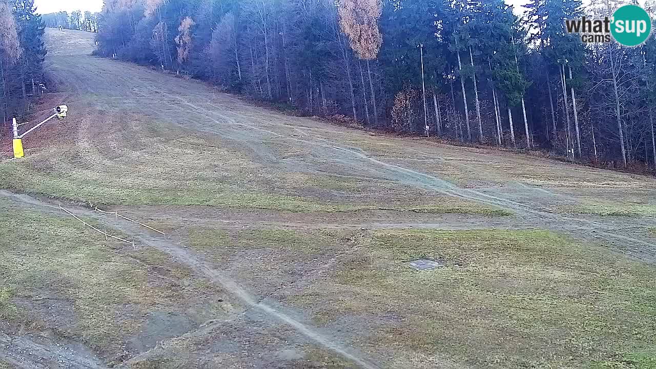 Web kamera Pohorje Trikotna Jasa | Poštela