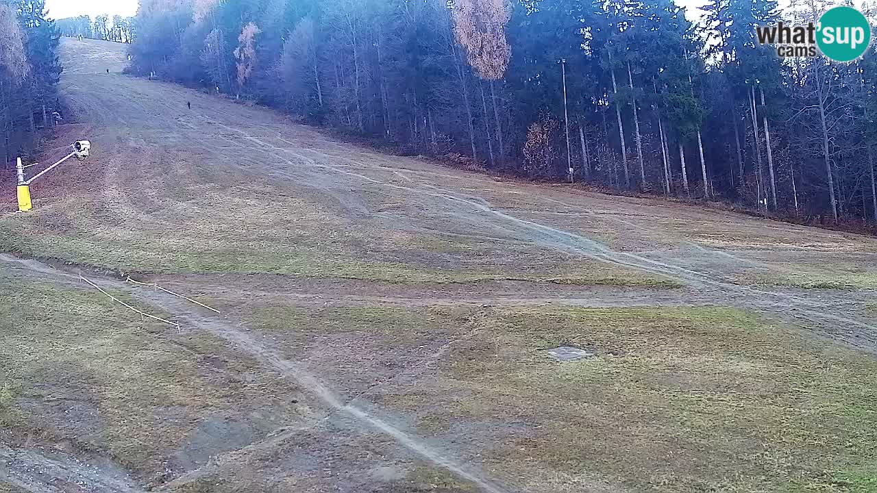 Webcam Pohorje Trikotna Jasa | Poštela