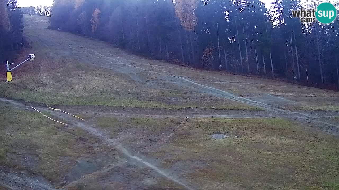 Webcam Pohorje Trikotna Jasa | Poštela