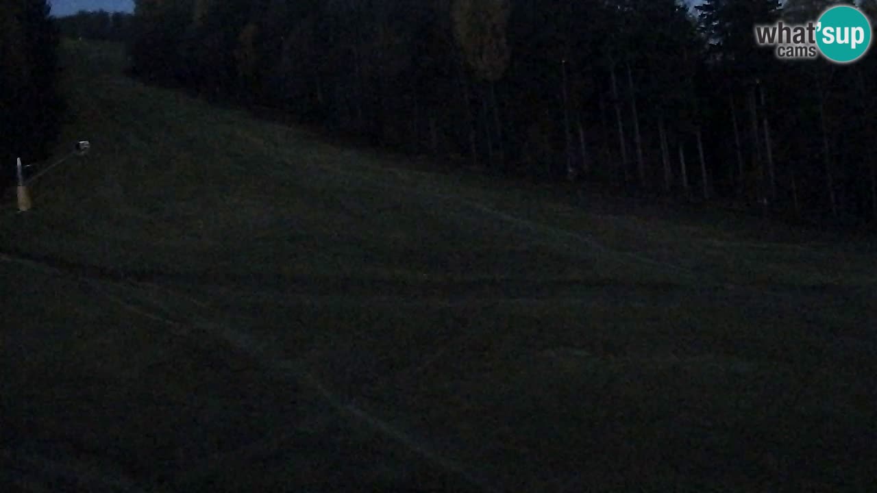 Webcam Pohorje Trikotna Jasa | Poštela