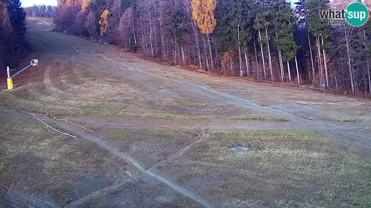 Webcam Pohorje Trikotna Jasa | Poštela