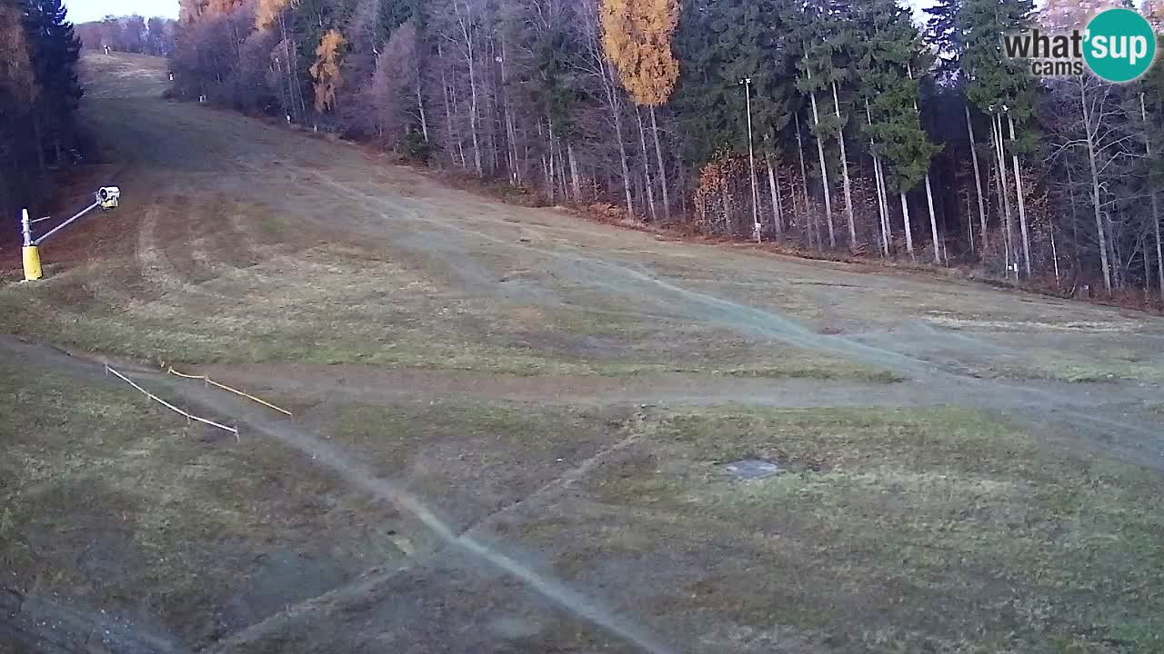 Webcam Pohorje Trikotna Jasa | Poštela