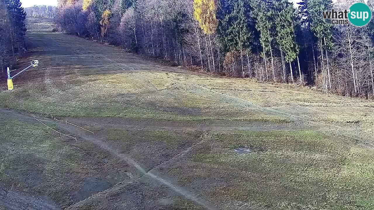 Web Camera Pohorje Trikotna Jasa | Poštela