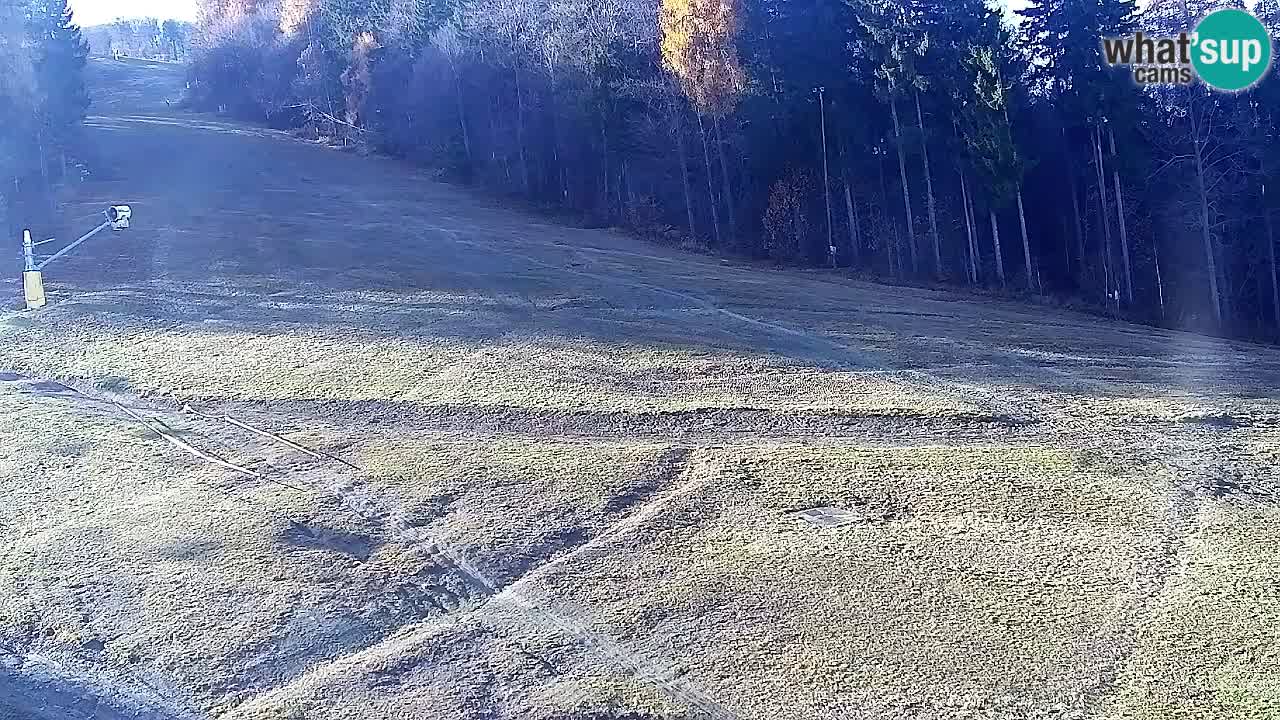 Webcam Pohorje Trikotna Jasa | Poštela