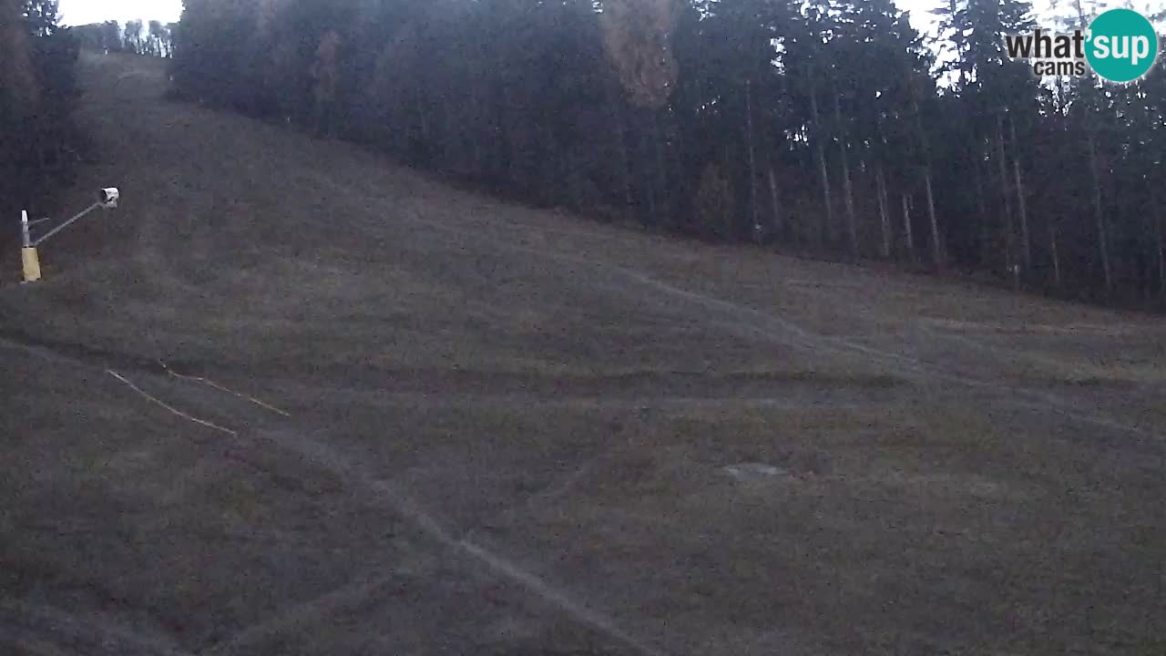 Web Camera Pohorje Trikotna Jasa | Poštela