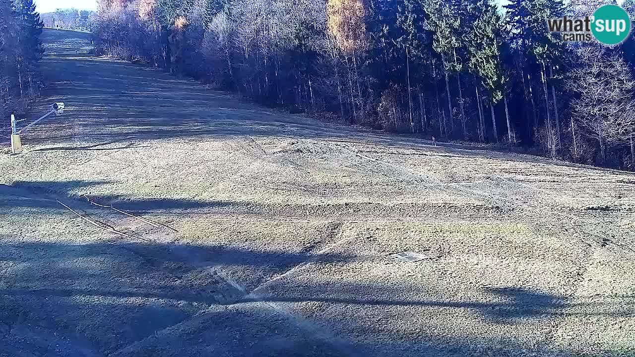 Webcam Pohorje Trikotna Jasa | Poštela