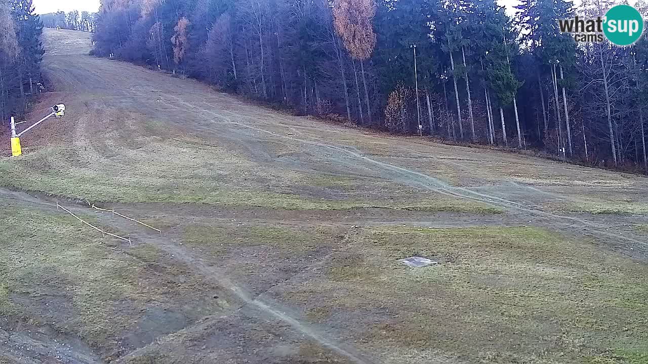Webcam Pohorje Trikotna Jasa | Poštela