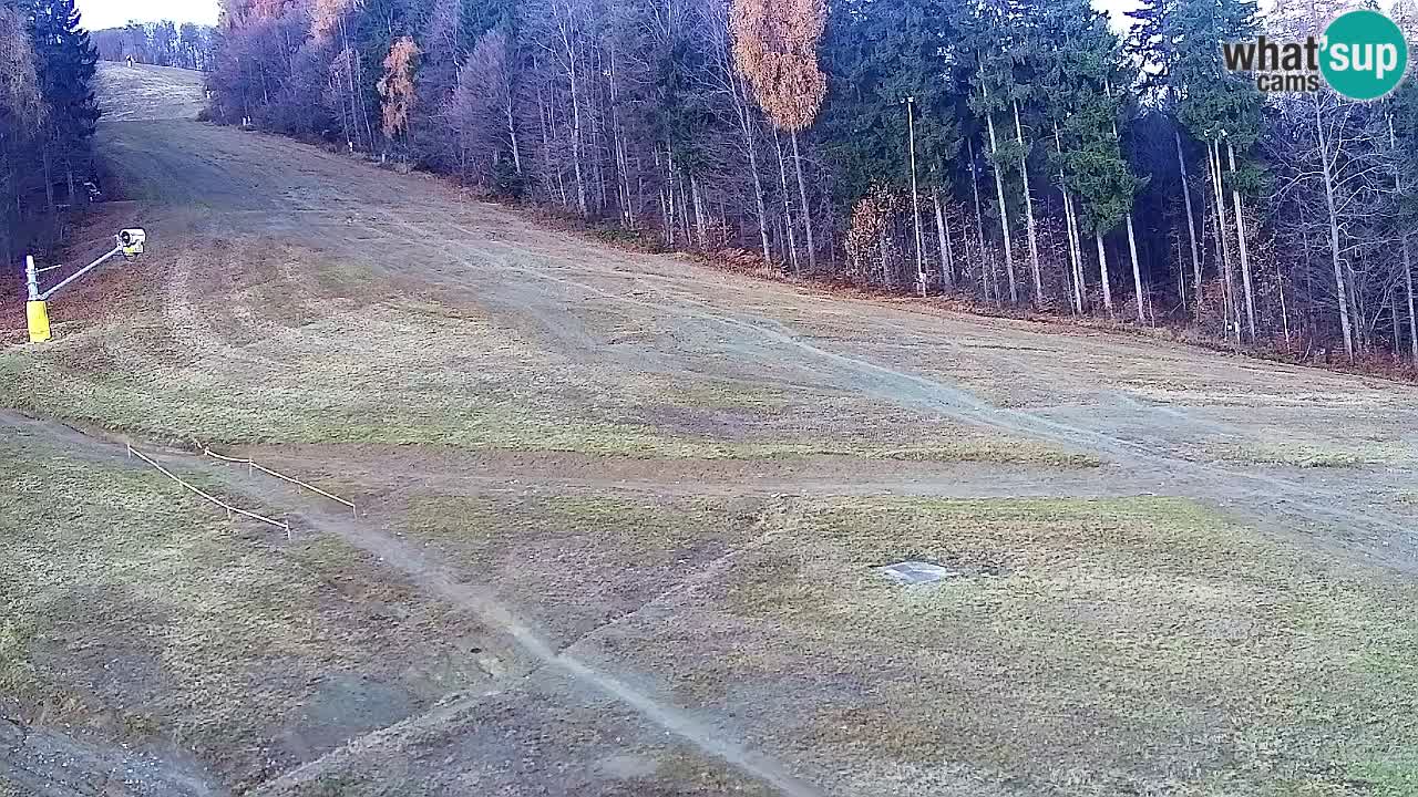 Web kamera Pohorje Trikotna Jasa | Poštela