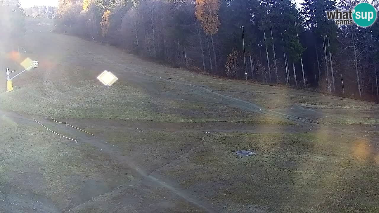 Web Camera Pohorje Trikotna Jasa | Poštela