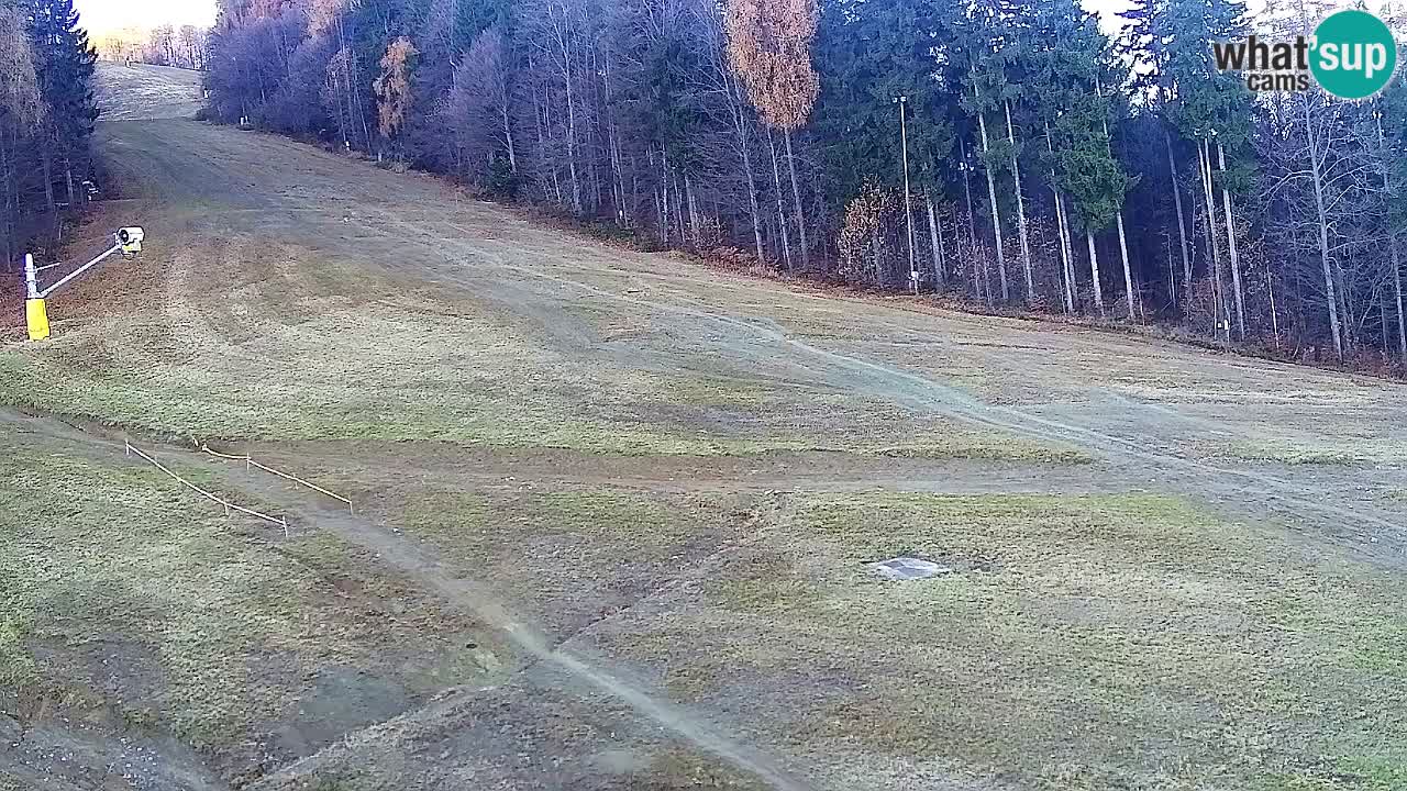 Webcam Pohorje Trikotna Jasa | Poštela