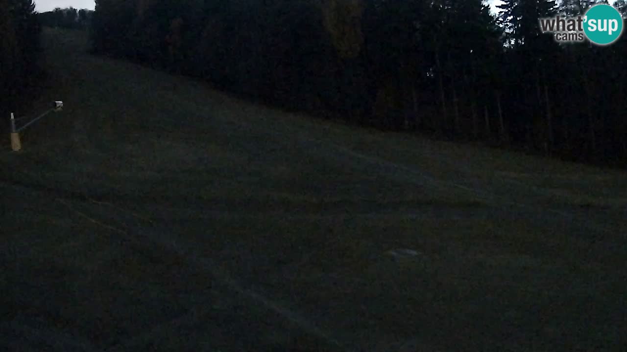 Web Camera Pohorje Trikotna Jasa | Poštela