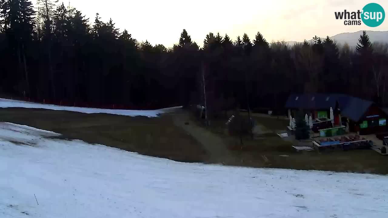 Webcam Pohorje Trikotna Jasa | Poštela