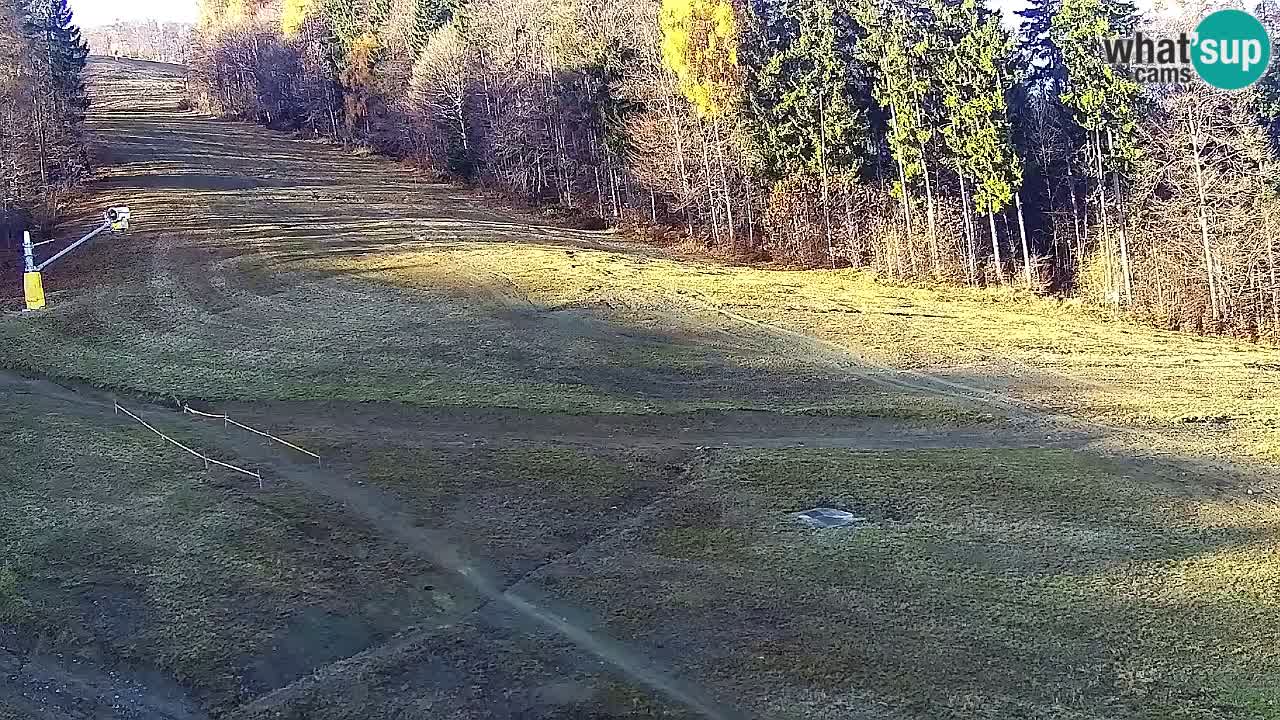 Webcam Pohorje Trikotna Jasa | Poštela