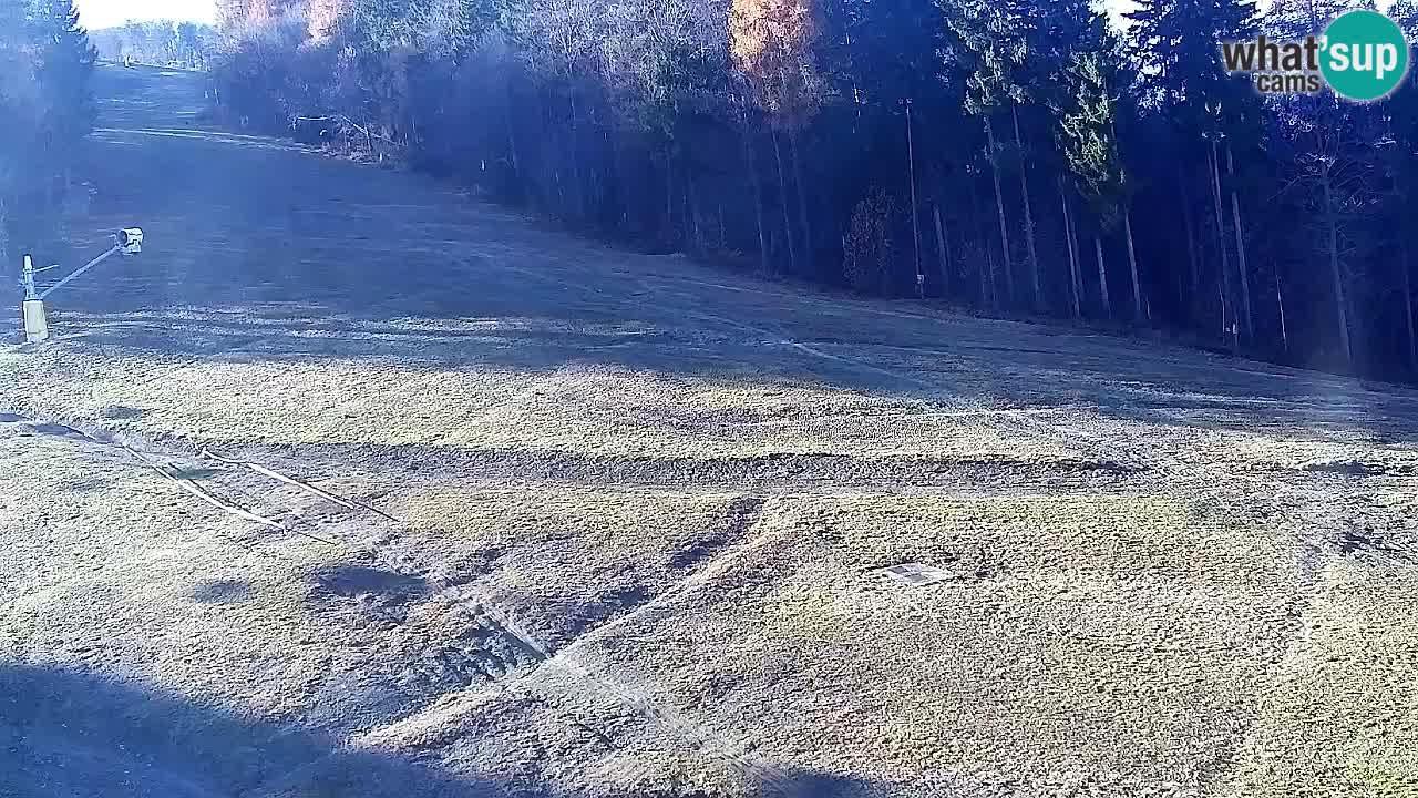 Webcam Pohorje Trikotna Jasa | Poštela
