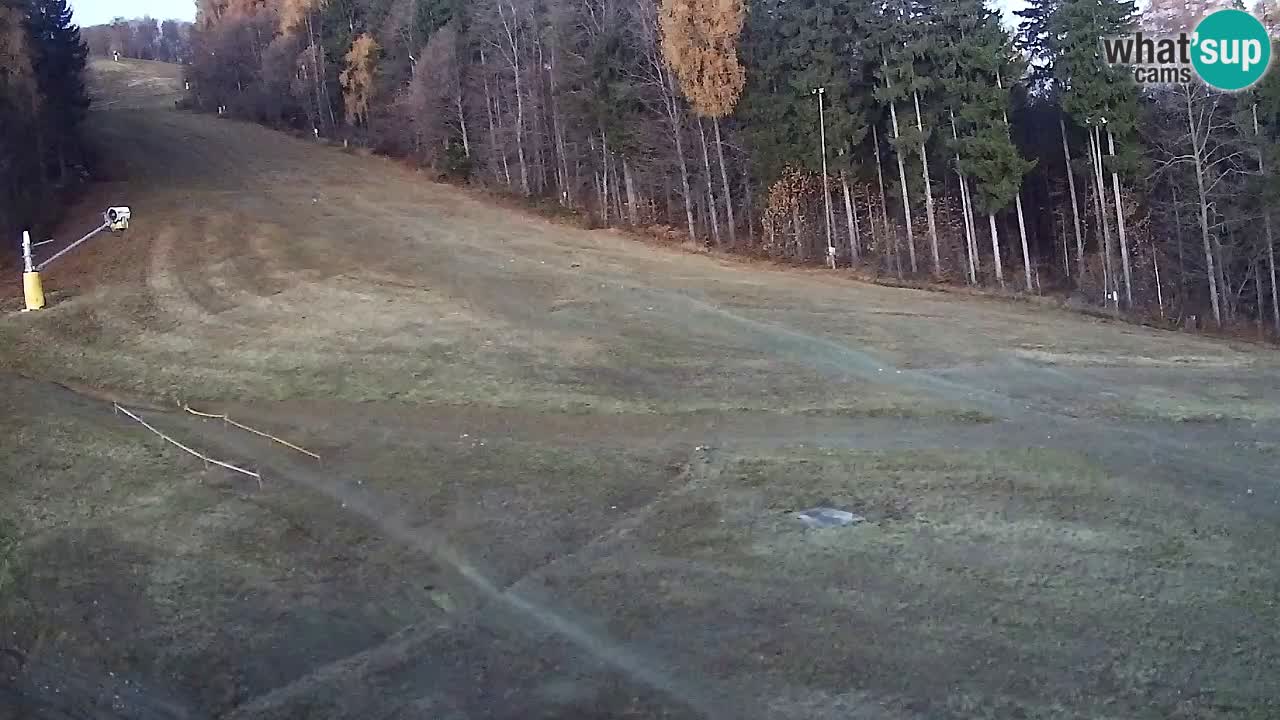 Web Camera Pohorje Trikotna Jasa | Poštela