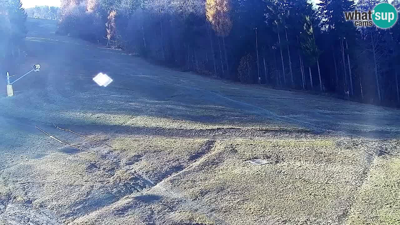 Web kamera Pohorje Trikotna Jasa | Poštela