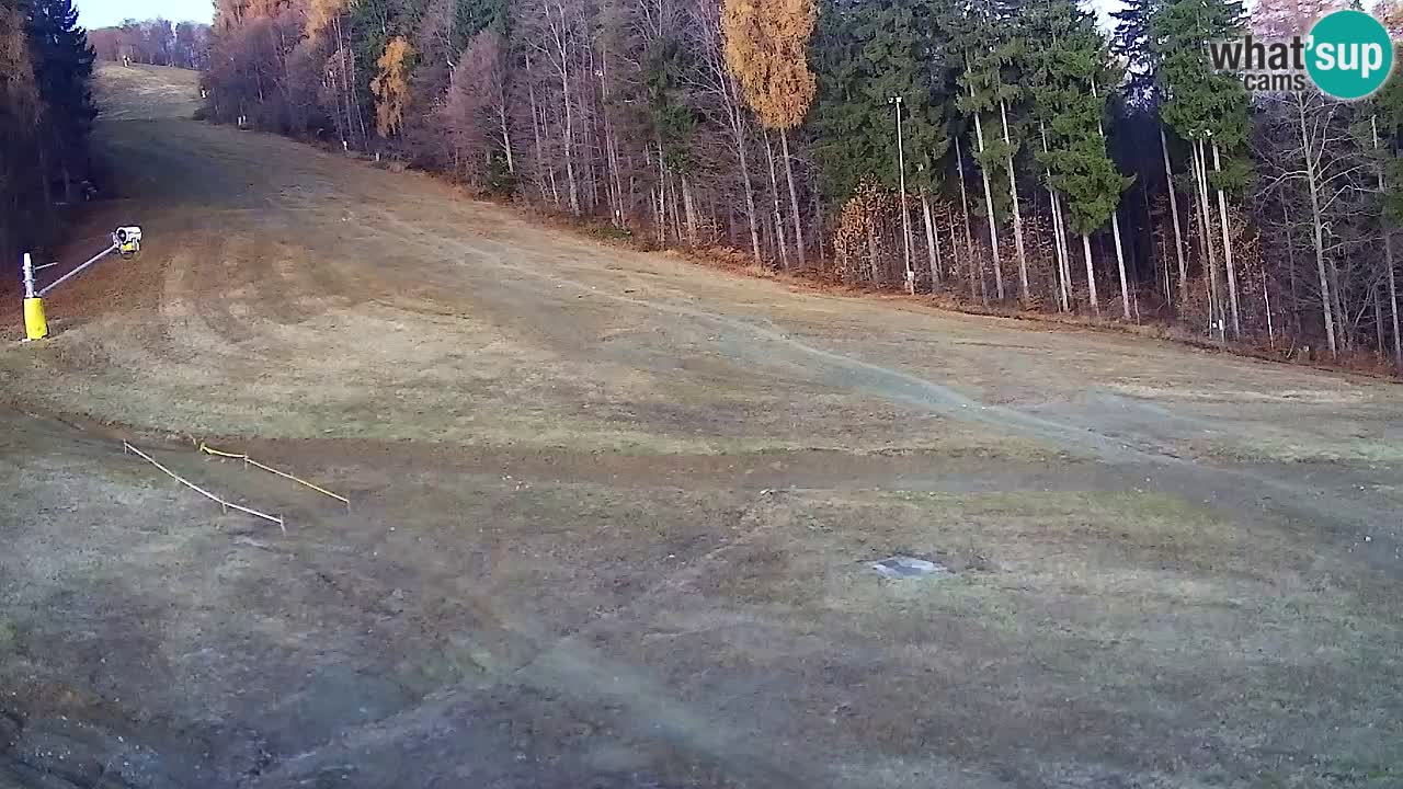 Webcam Pohorje Trikotna Jasa | Poštela