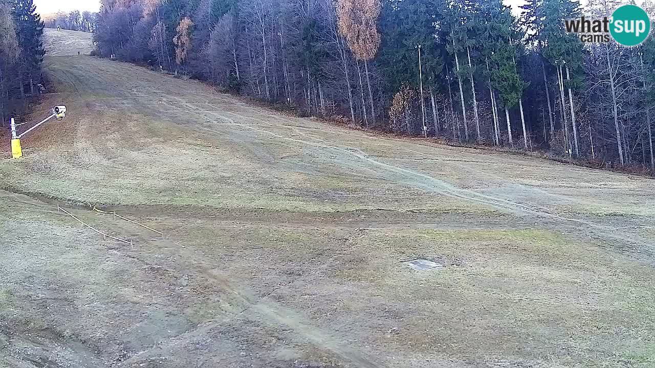 Webcam Pohorje Trikotna Jasa | Poštela
